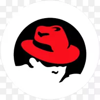 红帽企业linux 7 fedora-linux