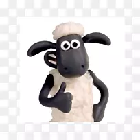 羊阿德曼动画电影动物-绵羊