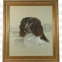 博伊金猎犬场猎犬爱尔兰策划人英国跳马猎犬苏塞克斯猎犬绘画