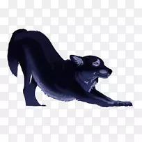犬种钴蓝鼻子毛皮犬