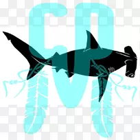 鲨鱼徽标TEAL字体-鲨鱼
