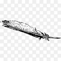 鹰羽毛定律计算机图标剪辑艺术羽毛