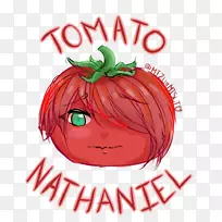 番茄扇子艺术Marinette-番茄