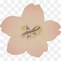 电脑图标樱花剪贴画-樱花