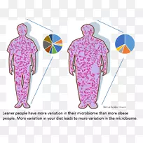 人类微生物组计划微生物群肠道菌群肥胖细菌-健康