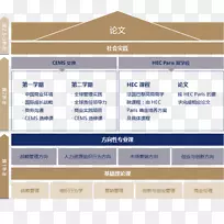 组织品牌网页线字体线