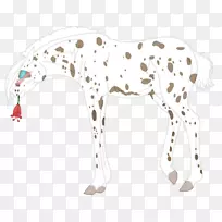 达尔马提亚犬马非运动团体包动物线跳跃猎豹