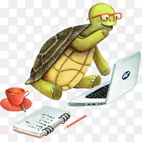 海龟教师学习海龟