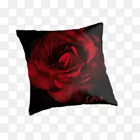 投掷枕头垫玫瑰家庭-枕头
