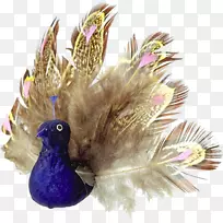 帕沃羽毛鸟夹艺术-羽毛