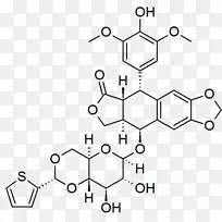 替尼泊苷有机化学抗肿瘤药物杂环化合物