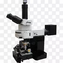 扫描电镜扫描探针显微镜共聚焦显微镜光学显微镜