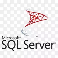 Microsoft sql server计算机服务器数据库-microsoft