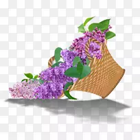 花卉设计丁香花束切花丁香