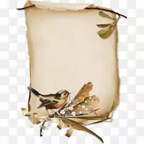 鸟纸羊皮卷轴-鸟