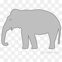 印度象非洲象牛野生象母象