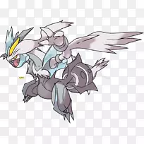 Kyurem Reshiram口袋妖怪黑白口袋妖怪Zekrom-Pokemon