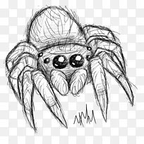 蜘蛛线画素描蜘蛛