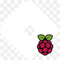 raspberry pi node.js javascript Arduino elektor