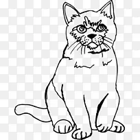 猫线画素描-小猫