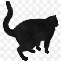 小猫黑猫苏格兰折叠剪贴画-小猫