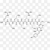 内啡肽α-内啡肽β-内啡肽神经递质-催产素