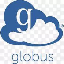 Globus工具包文件传输数据管理计算机软件.豇豆