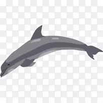 图库溪普通宽吻海豚剪贴画-海豚