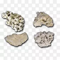活岩底物地球化学海洋岩石