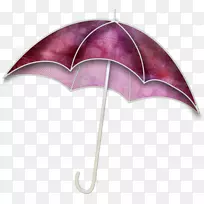 紫丁香伞