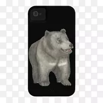 北极熊灰熊毛皮陆生动物-北极熊