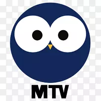 MTV 3电视标志MTV 2电视节目