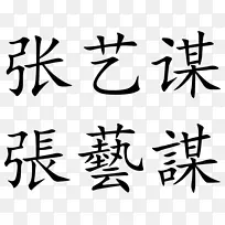 张家界景德镇卫视专机-市级飞机