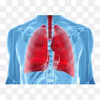 肺癌筛查人体肺癌分期