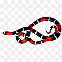 动物蛇画册-西安市