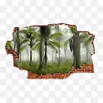 槟榔科植物热带雨林折边墙