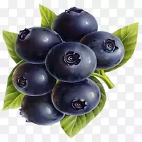 蓝莓越橘抗氧化保健膳食补充剂石榴汁