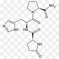 促甲状腺激素释放激素促甲状腺激素促肾上腺皮质激素释放激素及抑制激素