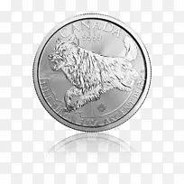 加拿大皇家薄荷捕食者加拿大银币加拿大银枫叶掠食者