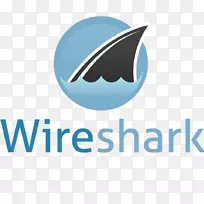 Wireshark数据包分析器计算机软件协议分析器-豹鲨