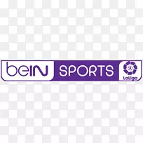 贝恩体育法国联赛1 La Liga电视频道-美式足球