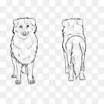 犬种鼻子线艺术素描-狗