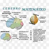 数学AGY数学逻辑人脑-数学