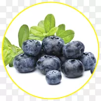 蓝莓全食品干燥冷冻干燥蓝莓