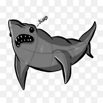 犬科鲨鱼狗海洋-鲨鱼