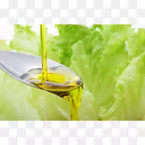 生菜食品健康沙拉-油