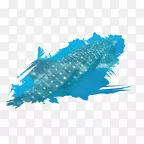 海洋海洋生物水怪能量鲸鲨