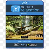 蓝光光盘4k分辨率超高清晰度电视高清视频瀑布森林公园