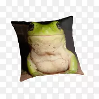 树蛙抛枕头真正的青蛙靠垫-枕头