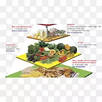 马来西亚美食营养食品金字塔营养-健康